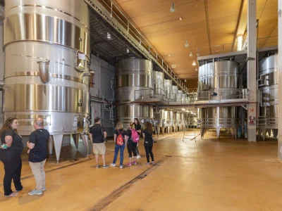 0. Gastronomía_Francis Vaquero_Turismo de Navarra