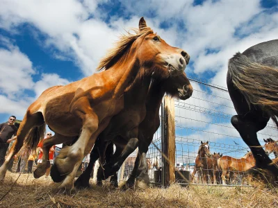 0. San Fermín_Oskar Montero_Turismo de Navarra